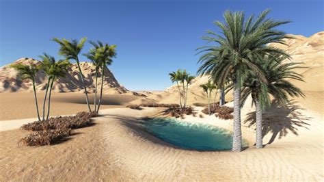 El oasis - 